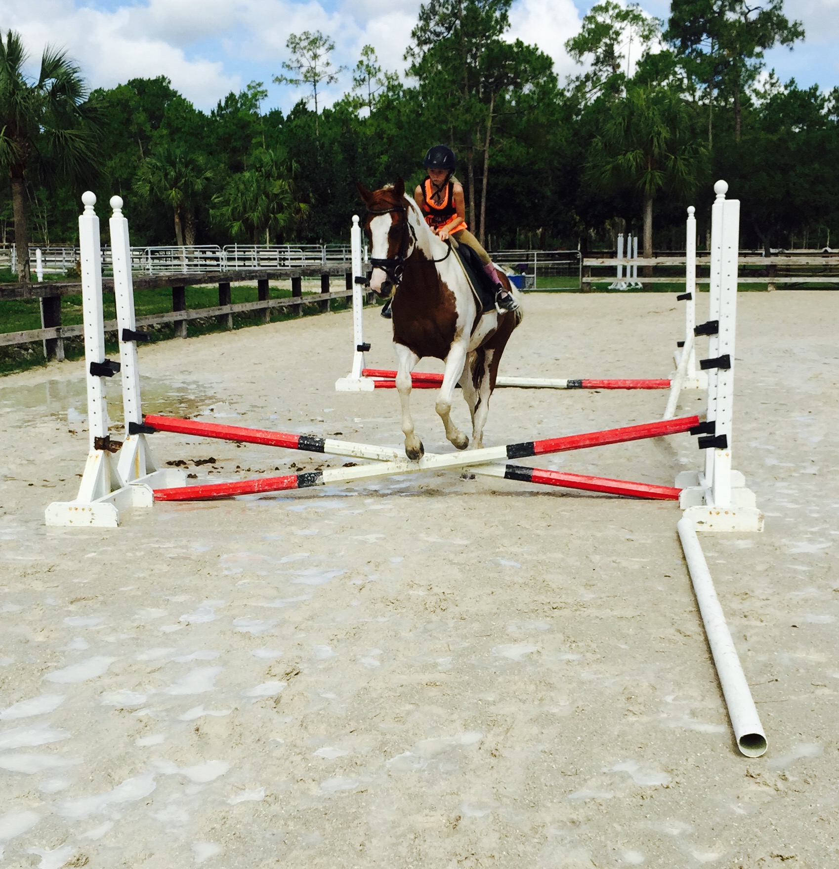 FullSizeRender (5).jpg