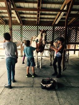 FullSizeRender (1).jpg