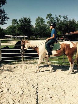 FullSizeRender (3).jpg